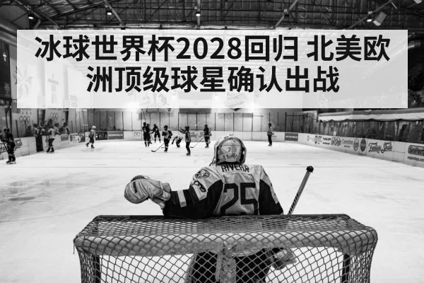 hockey arena action