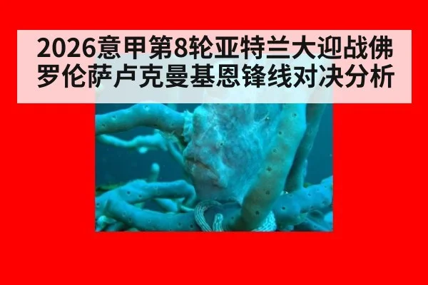 2026意甲第8轮亚特兰大迎战佛罗伦萨卢克曼基恩锋线对决分析