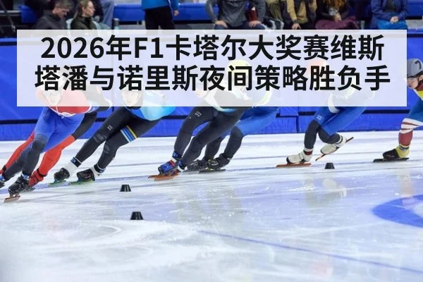 2026年F1卡塔尔大奖赛维斯塔潘与诺里斯夜间策略胜负手